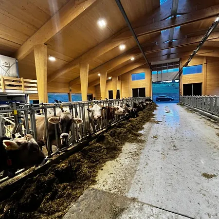 Schusterhof شقة *