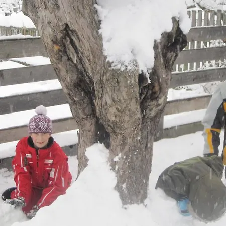 Schusterhof إنسبروك