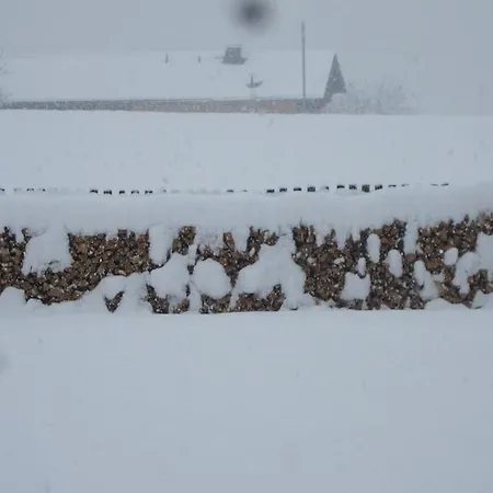 Schusterhof شقة إنسبروك