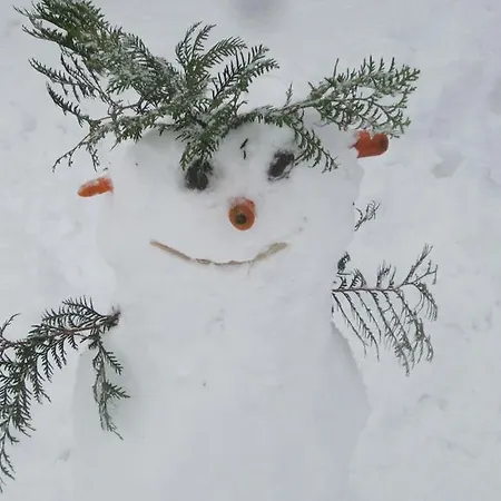 Schusterhof شقة إنسبروك