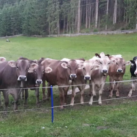 Schusterhof Lägenhet Innsbruck