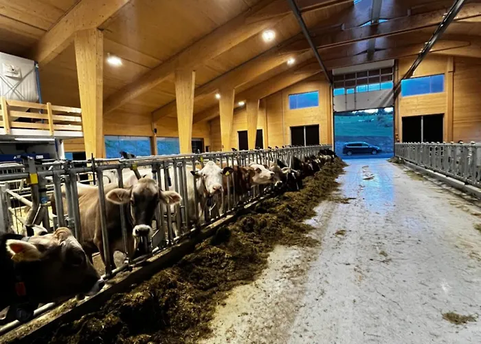 Schusterhof Apartament *