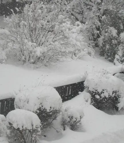 Apartament Schusterhof