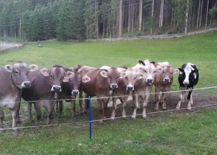 Schusterhof Lejlighed Innsbruck